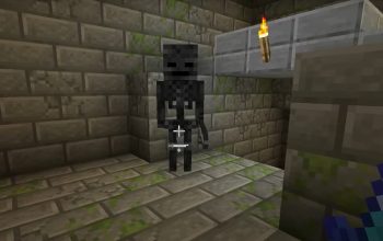 What does smite do in Minecraft - skeleton standing
