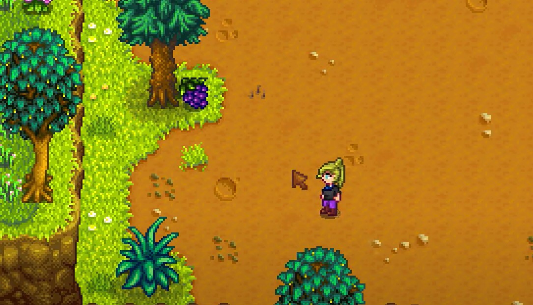 Where to find grapes Stardew Valley - player approaching grapes